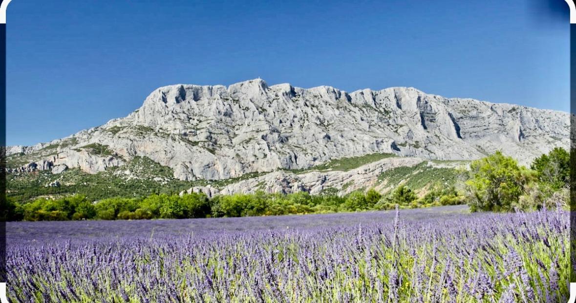 Le Clos D'Aix Studio 102 Parking Et Piscine Gratuite Aix-en-Provence Dış mekan fotoğraf